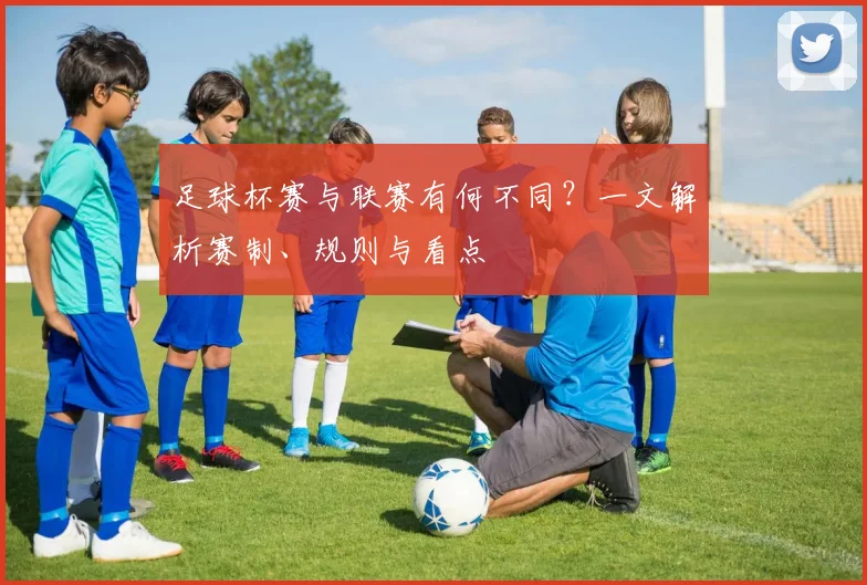 足球杯赛与联赛有何不同?一文解析赛制、规则与看点