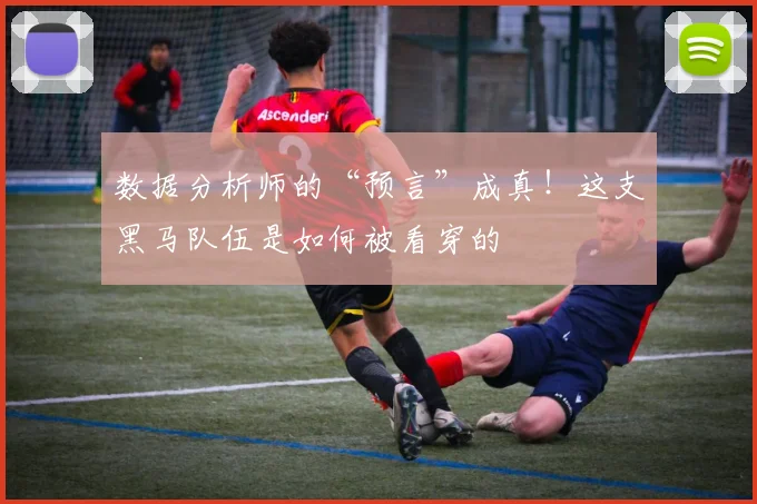 数据分析师的“预言”成真！这支黑马队伍是如何被看穿的